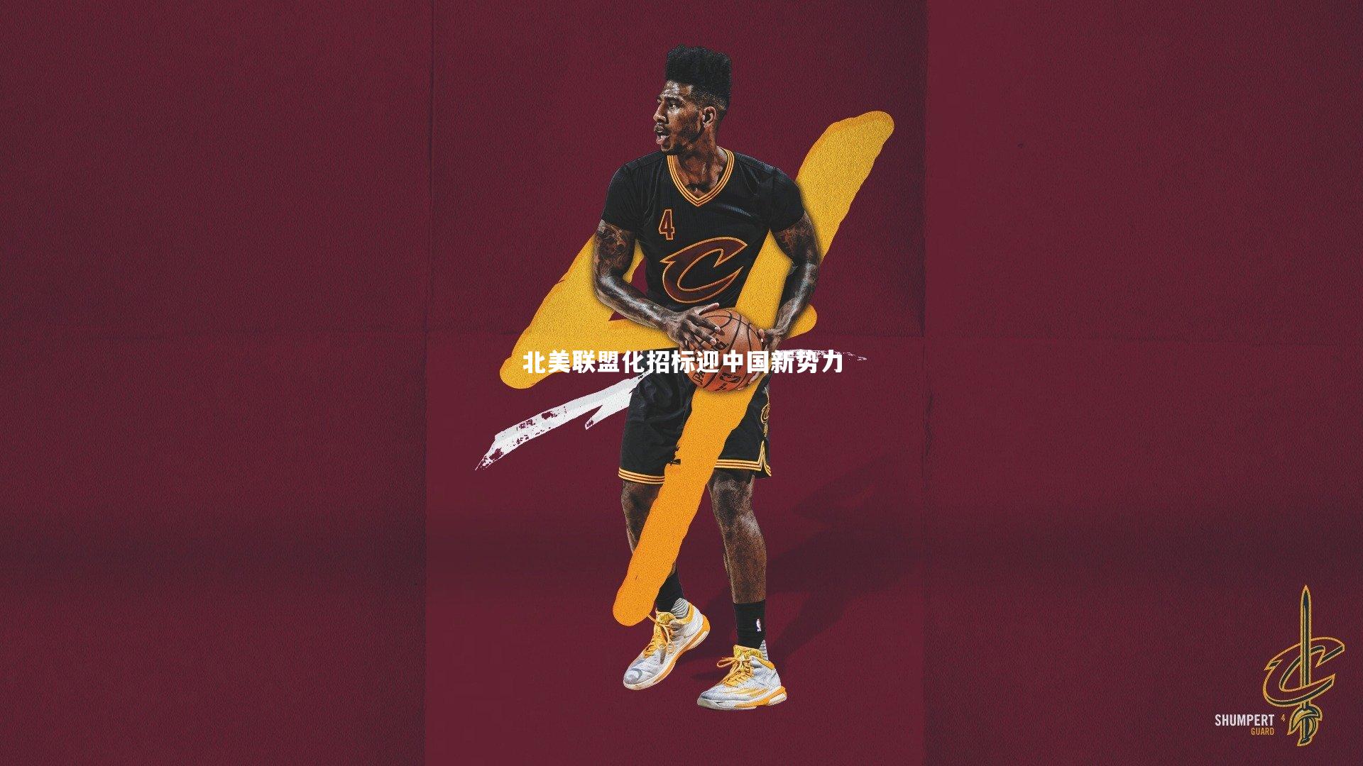 北美联盟化招标迎中国新势力